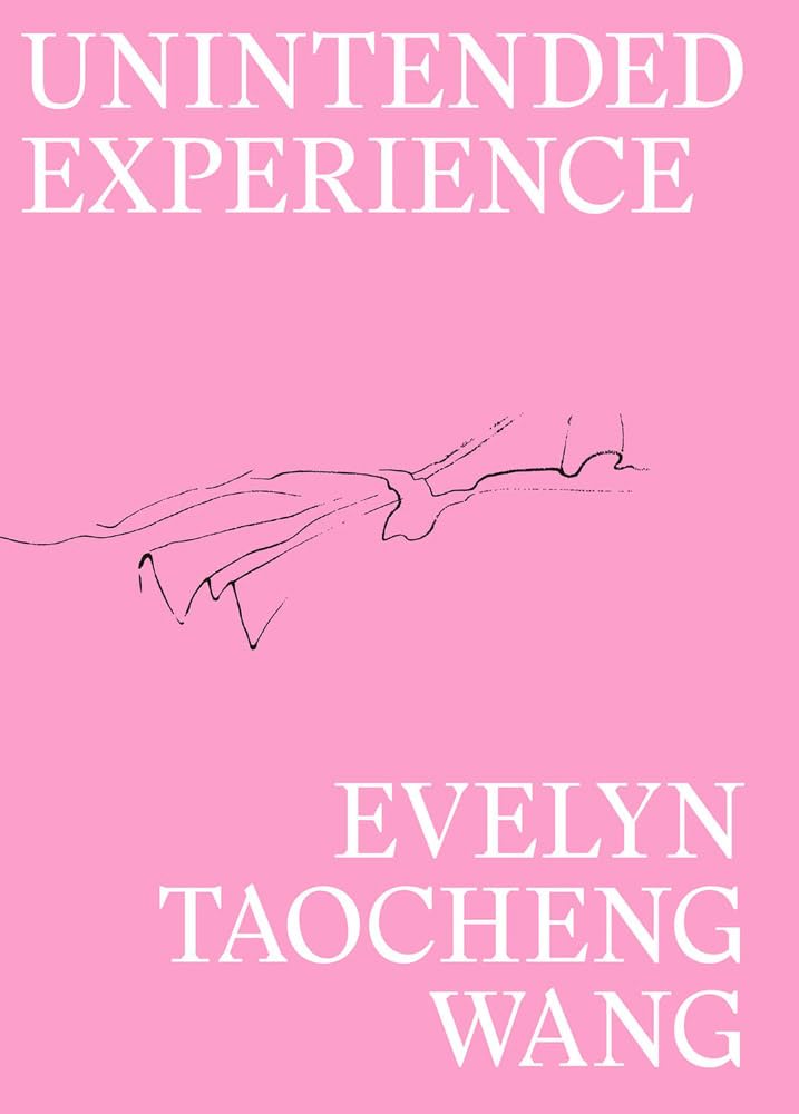 Unintended Experience. A Job in Amsterdam (reprint)